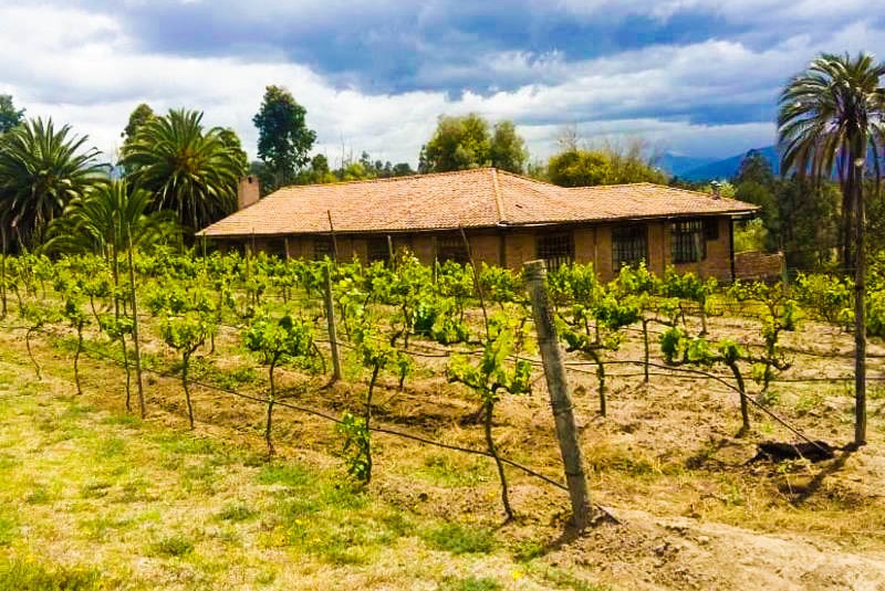 Bodega Chaupi Estancia Winery