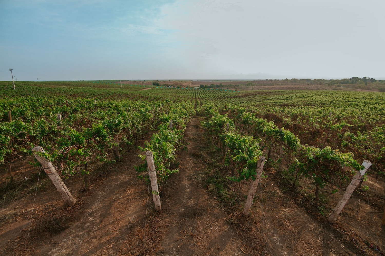 Bodega Dos Hemisferios